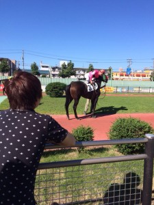 名古屋競馬の話