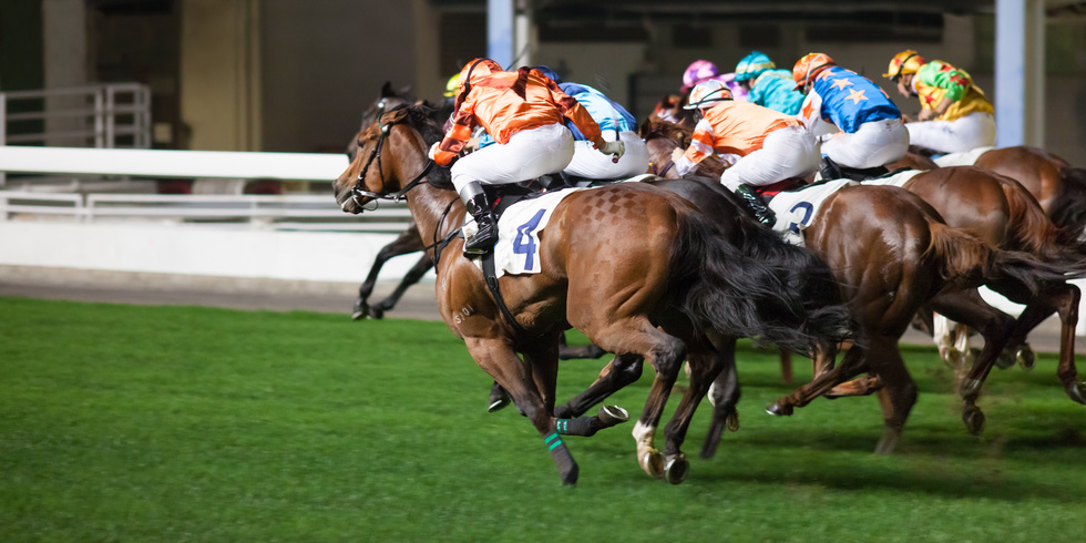 第18回チャンピオンズカップ登録馬 トップディーヴォ過去走データ At A Gallop 坂路時計や血統や騎手分析 競馬ソフトtargetや動画まで