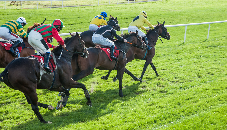 2012年以降のダートレースで最も1番人気になった回数の多い種牡馬はキングカメハメハです。