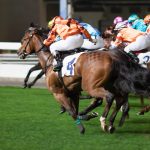 有馬記念出走馬　過去走データ（時系列順）