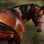 2018/3/31~4/1　次走期待値の高い馬のメモ