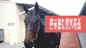 ライラは元気に調教をしているようです