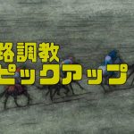 坂路調教ピックアップ　3月26日～3月27日